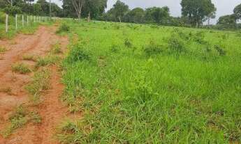 Imagem 2: FAZENDA À VENDA EM DOIS IRMÃOS DO BURITI - MS - 375 HECTARES