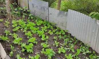 Imagem: MV20 - Parcelas a negociar