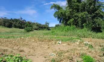 Imagem 7: Sítio rural, 2.400 m2. Família desmembrando. 12 km do Centro de Mogi das Cruzes