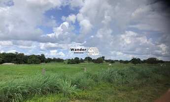 Imagem 5: FAZENDA RURAL em PALMAS - TO, CENTRO (TAQUARALTO