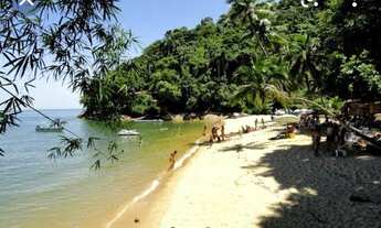 Imagem 7: Casa na Ilha de Itacuruçá