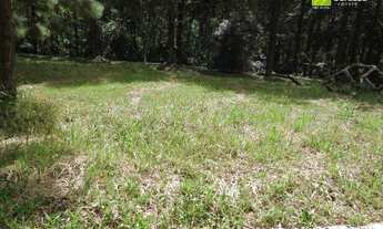 Imagem 3: Terreno à venda, 813 m² por R$ 814.000,00 - Aldeia da Serra - Barueri/SP