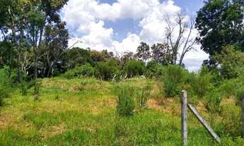 Imagem 4: Terreno à venda, 5549 m² por R$ 1.100.000,00 - Miringuava - São José dos Pinhais/PR