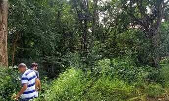 Imagem 5: Área Rural para Venda em Palmas, Taquarussu