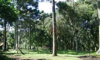 Imagem 3: Terreno no bairro Jardim das Fontes em Canela