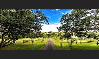 Imagem 5: Crédito rural R$ 200.000,00 a R$ 1.000.000,00