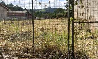 Imagem 2: LINDO LOTE EM UM BAIRRO TRANQUILO