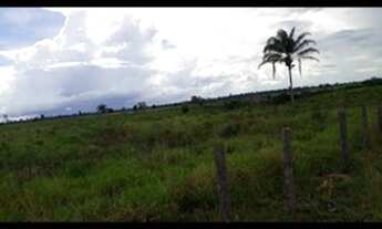 Imagem 4: FAZENDA À VENDA EM TUCURUÍ - PA - 610 HECTARES (DUPLA APTIDÃO