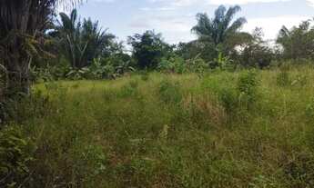 Imagem 3: Sítio 100 hectares/42 Alqueires no Joana Darc, linha 15