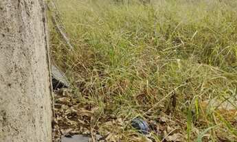 Imagem 3: Venda Lote Bairro São Pedro Sete Lagoas