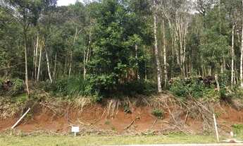 Imagem 5: Terreno no Loteamento Terras Altas em Gramado!