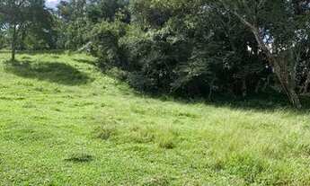 Imagem 7: T.e - Vende-se terrenos com ótimos preços