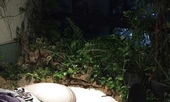 Imagem 6: Apartamento em Salvador