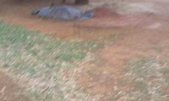 Imagem 5: Chácara com 1 dormitório à venda, 2000 m² por R$ 230.000 - Chapeu Duvas - Juiz de Fora/MG