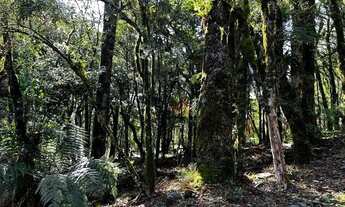 Imagem 3: Terreno no Residencial Pinheiro Grosso em Canela!