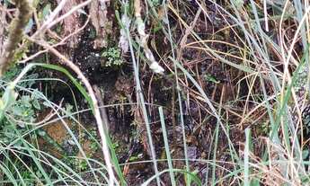 Imagem 5: Imóvel Rural 2 hectares Urubici/ Terreno Urubici