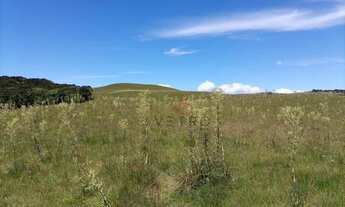 Imagem 4: Sítio na Várzea do Cedro em São Francisco de Paula!