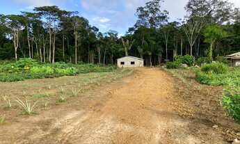 Imagem 4: Vende-se 03 três chácaras à 25 minutos do Centro