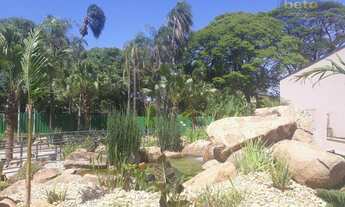 Imagem 4: Apartamento com 3 dormitórios para alugar, 85 m² por R$ 3.690,00/mês - Vila Padre Bento