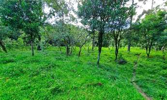 Imagem 7: Fazenda à venda, 2000000 m² por R$ 8.600.000,00 - Figueira Oca - Paulo Lopes/SC