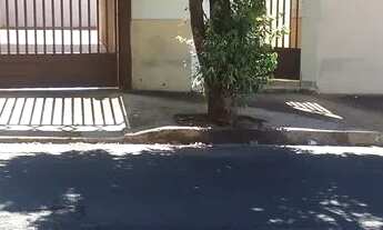 Imagem 2: Aluga-se Casa 02 Dorms- Bairro ** Parque das Aroeiras *