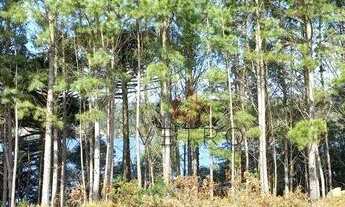 Imagem: Terreno no Salto em São Francisco de Paula!