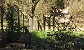 Imagem 3: Sítio na Barragem do Salto!