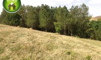 Imagem 4: INDAIATUBA - SITIO - GLEBA DA FAZENDA OLARIA