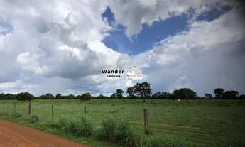 Imagem 4: FAZENDA RURAL em PALMAS - TO, CENTRO (TAQUARALTO