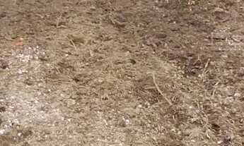 Imagem 2: Terreno em são José dos Pinhais