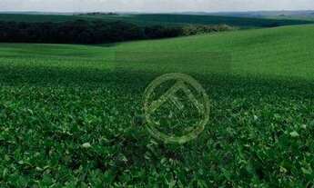 Imagem 2: Fazenda à venda, 8300000 m² - Centro - Guarapuava/PR