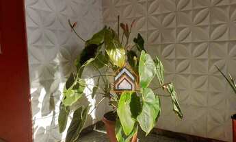 Imagem 2: Casa à venda, 70 m² por R$ 260.000,00 - Jardim Algarve - Alvorada/RS