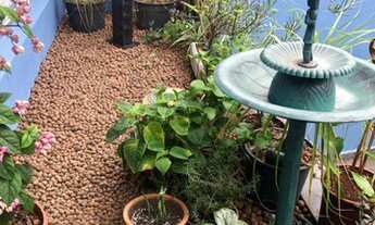 Imagem 6: CASA RESIDENCIAL em SÃO PAULO - SP, VILA NOVA MAZZEI