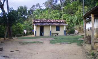 Imagem 7: Fazenda de 50ha no Vale do Jiquiriçá (cacau e gado