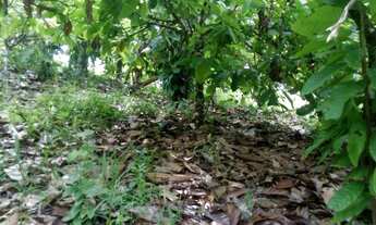 Imagem: Fazenda entre Gandu e Wenceslau Guimarães-BR