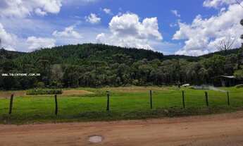 Imagem 4: Área Rural para Venda em Mandirituba, Zona Rural, 4 dormitórios, 2 suítes, 4 banheiros, 4