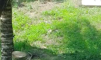 Imagem 3: Casa em Saquarema, RJ - Terreno de 25.000 metros