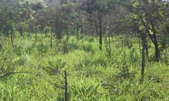 Imagem 4: Chácara de 5.000m² a 500m² do asfalto, São Jose do Almeida (Temos varias opções)