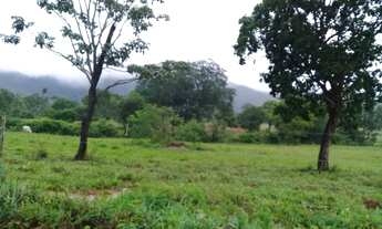 Imagem 6: Fazenda 370 Alqueires 67 Km de Formosa