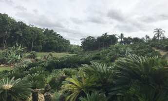 Imagem 2: Terreno à venda em Araquari/SC