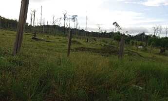 Imagem 5: Vendo área de terra em caroebe vicinal 04 km42