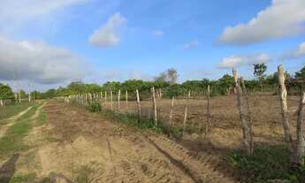 Imagem 7: Vendo terreno excelente para fazer uma chácara. 40m X 100m