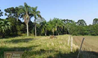 Imagem 6: Rural chacara com 1 quarto - Bairro Miringuava em São José dos Pinhais