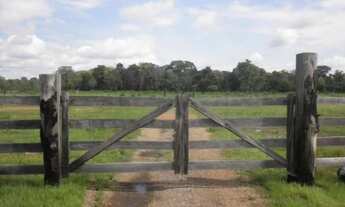 Imagem 3: FAZENDA NEGOCIO DE OPORTUNIDADE!!!