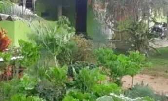 Imagem 3: Y Vendo com urgência vamos negociar