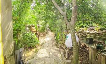 Imagem 6: FLORIANóPOLIS - Casa Padrão - Capoeiras