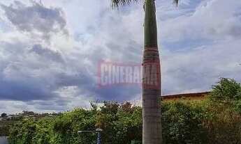 Imagem 7: Chácara com 5 dormitórios para alugar, 1000 m² por R$ 4.140,30/mês - Porangaba - Porangaba