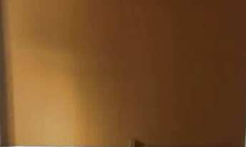 Imagem 6: Aluga Apartamento com 2 dormitórios