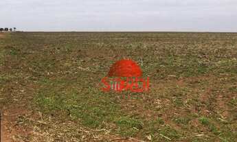 Imagem 3: Excelente Propriedade Rural Taquaritinga-SP