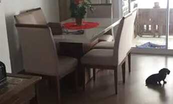 Imagem 3: Apartamento para venda possui 97 metros quadrados com 3 quartos